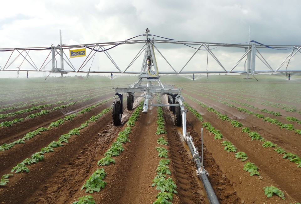 R50 2 offset waterfeed on potatoes